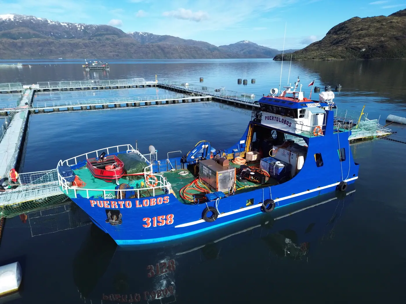 Limpieza in situ de redes acuícolas en el sur de Chile con equipo ROV submarino